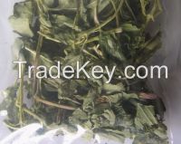 Dried Basil Leaves