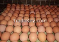 Fresh White And Brown eggs