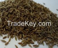 Cumin Seeds