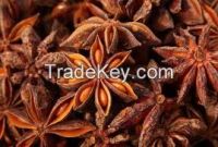 Star Aniseed