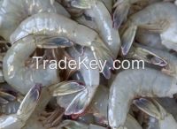 Frozen Tiger Shrimps