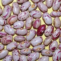 Light Speckled Sugar beans