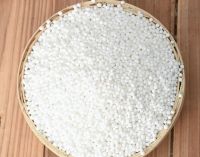 Pure High Quality Sago Seeds / Tapioca Pearl Balls