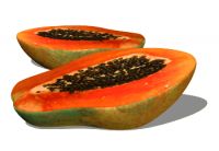Dried Papaya, Papaya Puree, Papaya Seeds, NONI, Pineapple