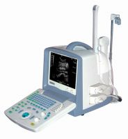 Sell FULL Digital Veterinary Portable Ultrasound Scanner -BW8T-VET