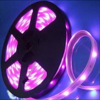 Sell Waterproof Flexible LED Ribbon Strip RGB Light