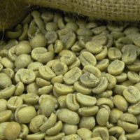 Arabica Coffee Beans