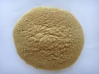 Cotton Seed Meal