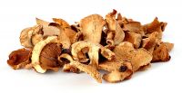 Dried Mushrooms