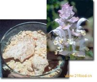 Sell clary sage oil, sclareol, sclareolide