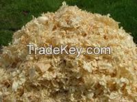 Pine Wood Shaving for poultry chicken bedding