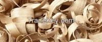Wood shaving at the lowest price and top quality
