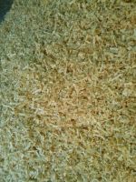 Pine Wood Shavings - Best Quality and Price