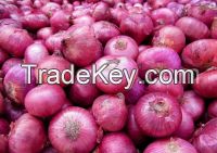 High Quality African Origin Fresh Onions