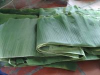 banana leaf