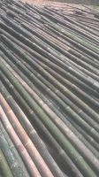 Supplying of solid bamboo poles to Europe