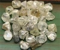 Rough Uncut  Diamond Crystals for Sale