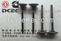 Engine Part/Auto Part/Spare Part/Car Accessories  intake valve, exhaust valve, pump valve, solenoid valve