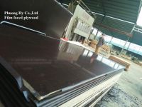 Sell Film faced plywood made 100% from Vietnam