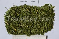 Dried celery leaves