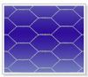 Hexagonal wire netting