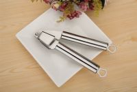 Stainless Steel Garlic Press