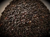 Organic Black Rice