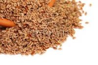 Premium quality Psyllium Husk