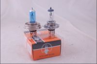 halogen  lamp with xe(H1,H3,H4,H7,9004,9005,9006,9007)