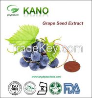 100% Pure Natural Grape Seed Extract 95%OPC by UV Vitis vininfera L.