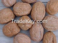 walnut kernel price with high quality