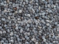 Quality Blue/White Poppy Seeds