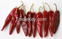 Tianying red Chilli