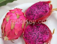 Fresh Dragon Fruit Sweet At Cheap price