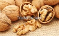 walnut in shell, walnut kernel