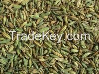 Fennel Seeds Bold Quality