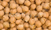 Selling good quality food chickpeas