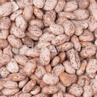 Dried Pinto Beans