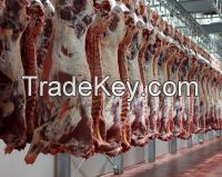 Quality Fresh Halal / non Halal Frozen Beef Meat, Frozen Meat /BUFFALO MEAT of All Parts