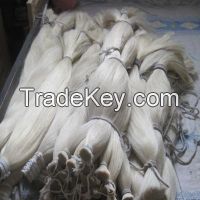 Natural Horse Tail Hair for sale