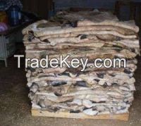 Wet Salted & Dry salted Donkey Hides and Cow Hides, cattle Hides, animal skin, Goats, Horses, Fur