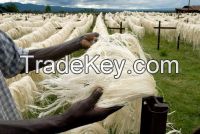 Affordable UG GRADE A SISAL FIBER From KENYA