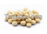 Raw Organic Macadamia Nuts