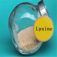 l-lysine gold supplier