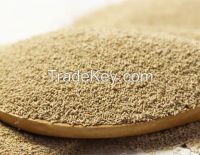 Dried active yeast