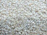 Sell High Quality White Hulled Sesame Seeds