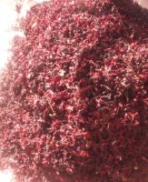 Selling Premium Grade Hibiscus Flower