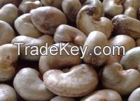 Raw Cashew Nut