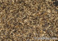 Sell Whole Milk Thistle Seed