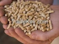 Quality DinPlus And ENplus Quality Wood Pellets For Sale